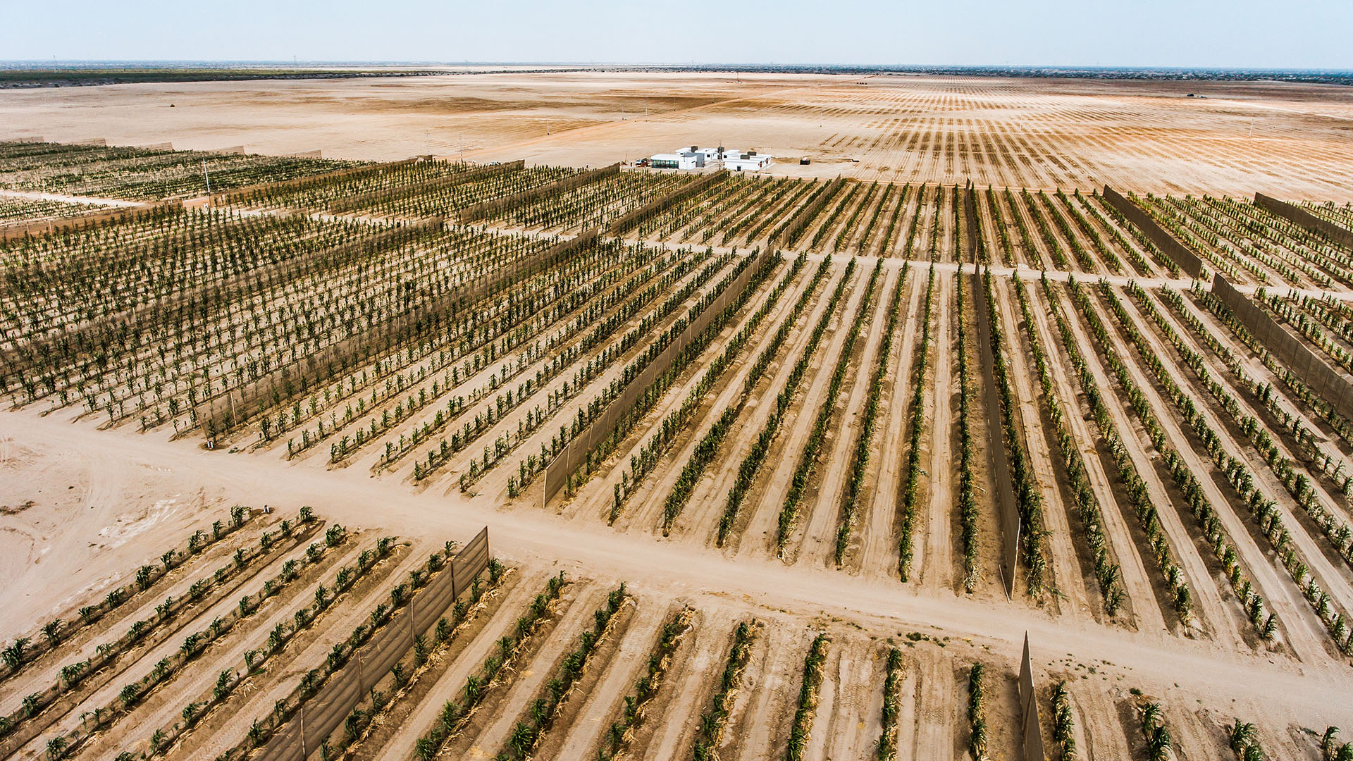 asica_farms_0001_dji_0909.jpg