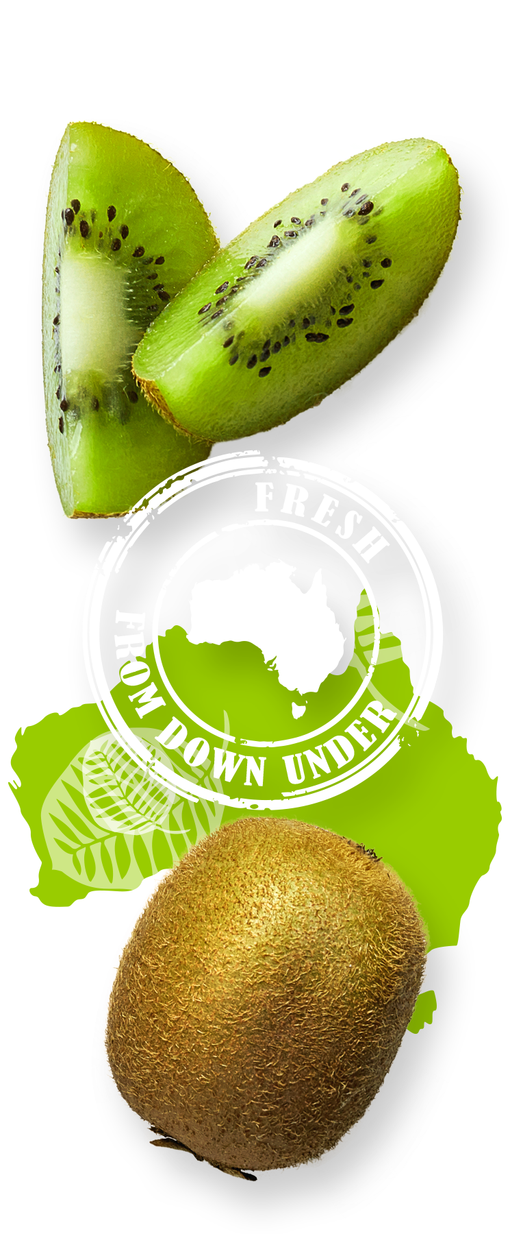 Kiwi Green - BRATZLER & CO.