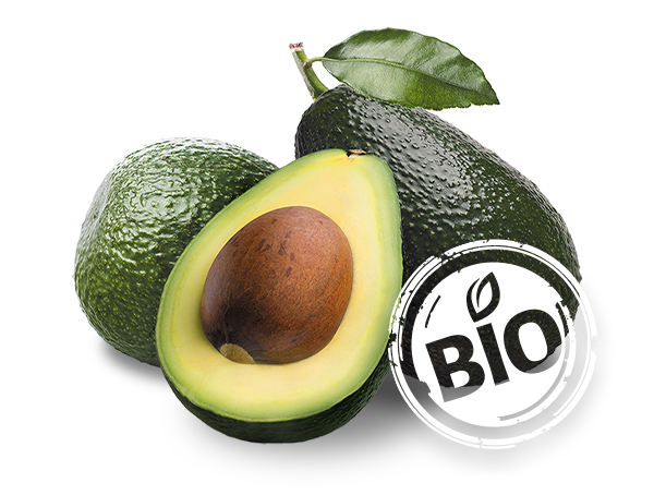 avocado bio handel vertrieb produktion