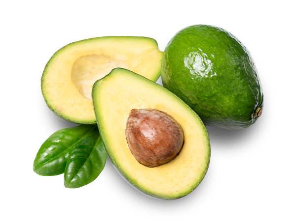avocado karibik handel vertrieb produktion
