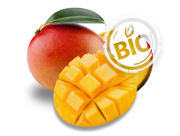 mango bio handel vertrieb produktion