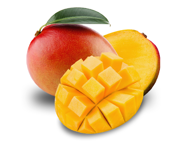 mango handel vertrieb produktion